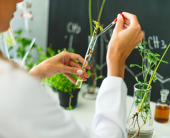 我们的植物化学家